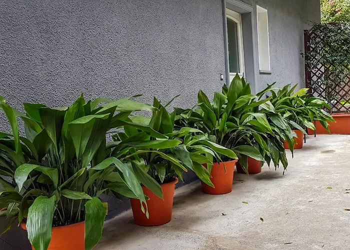 Casa Dei Cigni Hébergement de vacances Cannobio