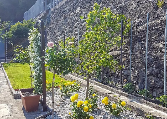 Casa Dei Cigni Ferienhaus Cannobio